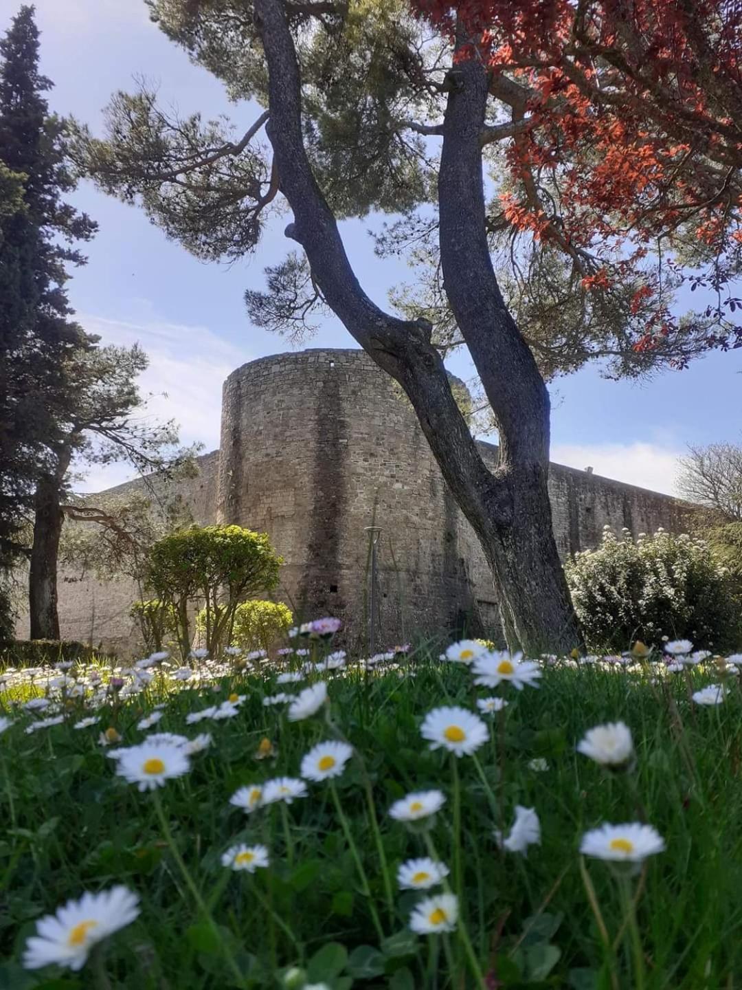 דירות אריאנו אירפינו Fronte Duomo מראה חיצוני תמונה